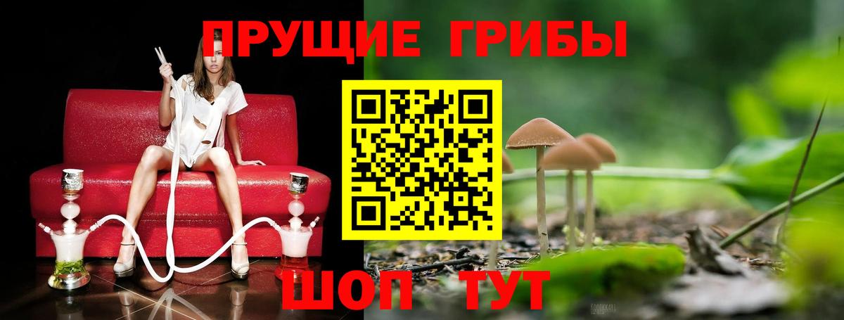 Псилоцибиновые грибы Cubensis Заинск